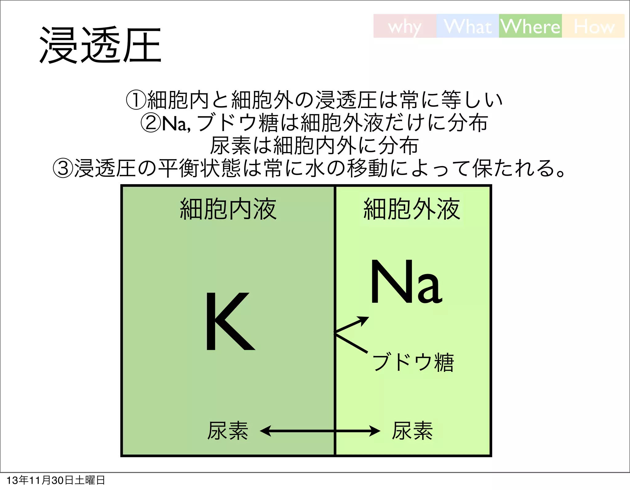 why

浸透圧

What Where How

①細胞内と細胞外の浸透圧は常に等しい
②Na, ブドウ糖は細胞外液だけに分布
尿素は細胞内外に分布
③浸透圧の平衡状態は常に水の移動によって保たれる。

細胞内液

K
尿素
13年11月30日土曜日

細胞外液

Na
ブドウ糖
尿素

 