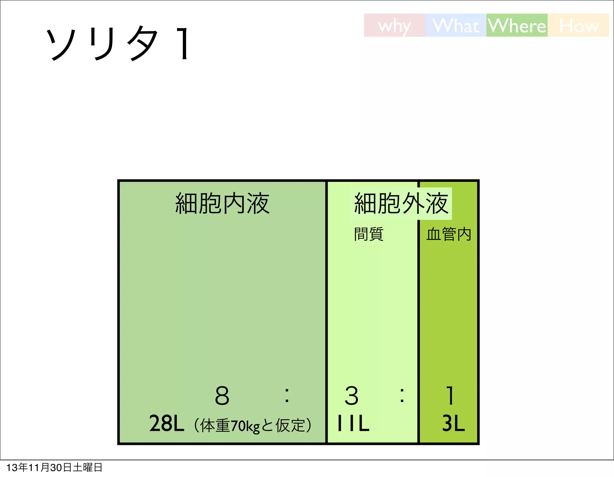why

ソリタ１

細胞内液

細胞外液
間質

８

：

28L（体重70kgと仮定）
13年11月30日土曜日

What Where How

３ ：
11L

血管内

１
3L

 