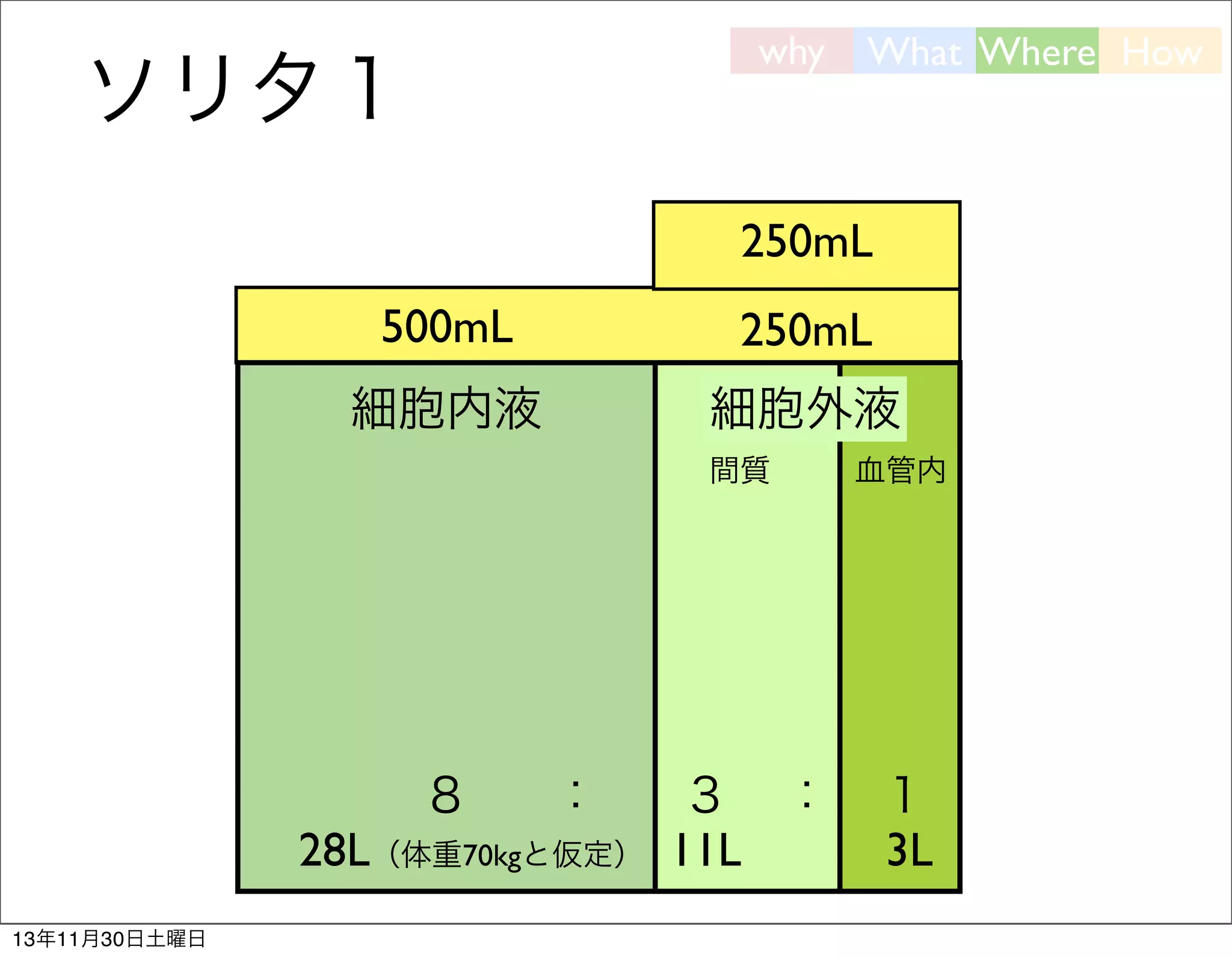why

ソリタ１

What Where How

250mL
500mL

250mL

細胞内液

細胞外液
間質

８

：

28L（体重70kgと仮定）
13年11月30日土曜日

３ ：
11L

血管内

１
3L

 