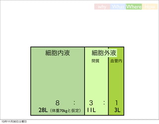 why

細胞内液

細胞外液
間質

８

：

28L（体重70kgと仮定）
13年11月30日土曜日

What Where How

３ ：
11L

血管内

１
3L

 