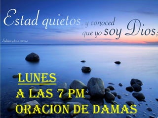LUNES
A LAS 7 PM
ORACION DE DAMAS
 