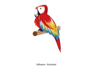 Software : Illustrator
 