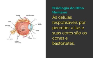 Fisiologia do Olho
Humano
As células
responsáveis por
perceber a luz e
suas cores são os
cones e
bastonetes.
 
