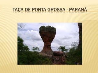 TAÇA DE PONTA GROSSA - PARANÁ