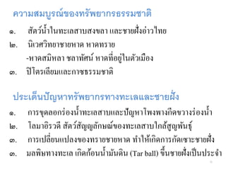 ความสมบูรณ์ของทรัพยากรธรรมชาติ 
๑.สัตว์น้ำในทะเลสำบสงขลำ และชำยฝั่งอ่ำวไทย 
๒.นิเวศวิทยำชำยหำด หำดทรำย 
-หำดสมิหลำ ชลำทัศน์ หำดที่อยู่ในตัวเมือง 
๓. ปิโตรเลียมและกำซธรรมชำติ 
๑.กำรขุดลอกร่องน้ำทะเลสำบและปัญหำโพงพำงกีดขวำงร่องน้ำ 
๒.โลมำอิรวดี สัตว์สัญญลักษณ์ของทะเลสำบใกล้สูญพันธุ์ 
๓.กำรเปลี่ยนแปลงของทรำยชำยหำด ทำให้เกิดกำรกัดเซำะชำยฝั่ง 
๓. มลพิษทำงทะเล เกิดก้อนน้ำมันดิน (Tar ball) ขึ้นชำยฝั่งเป็นประจำ 
ประเด็นปัญหาทรัพยากรทางทะเลและชายฝั่ง 
32 
 