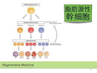 20150205 Anti-Aging & Fat Grafting Speech
