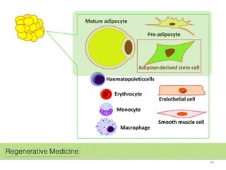 20150205 Anti-Aging & Fat Grafting Speech