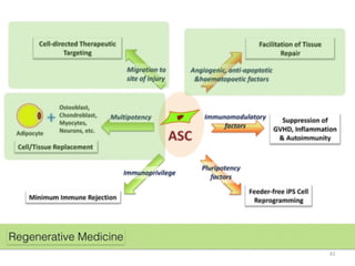 20150205 Anti-Aging & Fat Grafting Speech