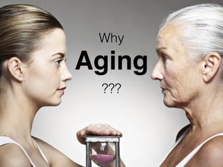 20150205 Anti-Aging & Fat Grafting Speech