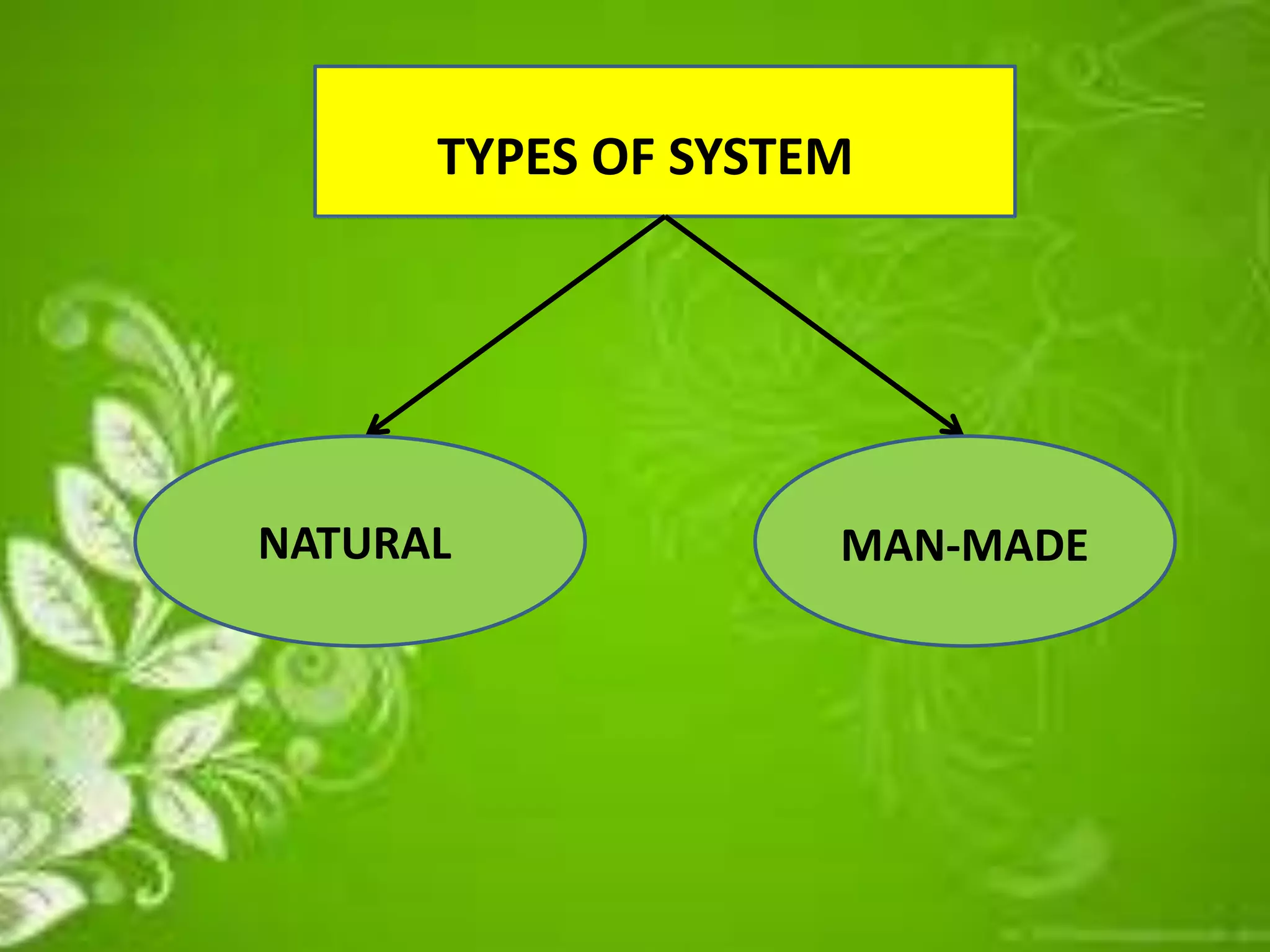 TYPES OF SYSTEM
NATURAL MAN-MADE
 