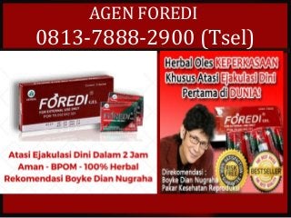 AGEN FOREDI
0813-7888-2900 (Tsel)
 