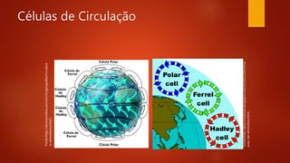 Células de Circulação
Fonte:http://alunosonline.uol.com.br/geografia/circulaca
o-atmosferica.html
Fonte:http://geoconceicao.blogspot.com.br/2012/04/circul
acao-da-atmosfera.html
 