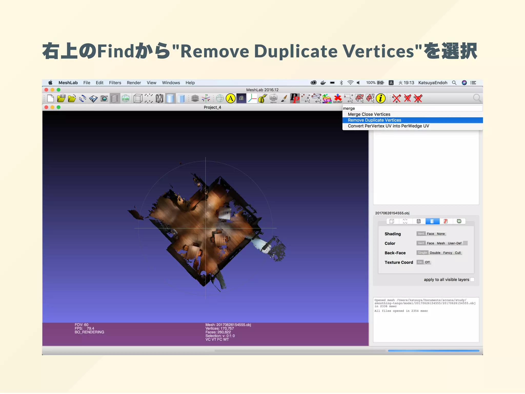 右上のFindから"Remove Duplicate Vertices"を選択
 
