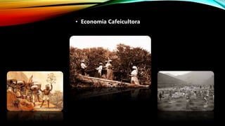 • Economia Cafeicultora
 