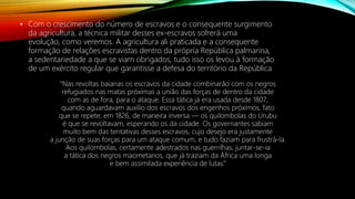 • Com o crescimento do número de escravos e o consequente surgimento
da agricultura, a técnica militar desses ex-escravos sofrerá uma
evolução, como veremos. A agricultura ali praticada e a consequente
formação de relações escravistas dentro da própria República palmarina,
a sedentariedade a que se viam obrigados, tudo isso os levou à formação
de um exército regular que garantisse a defesa do território da República
“Nas revoltas baianas os escravos da cidade combinarão com os negros
refugiados nas matas próximas a união das forças de dentro da cidade
com as de fora, para o ataque. Essa tática já era usada desde 1807,
quando aguardavam auxílio dos escravos dos engenhos próximos, fato
que se repete, em 1826, de maneira inversa — os quilombolas do Urubu
é que se revoltavam, esperando os da cidade. Os governantes sabiam
muito bem das tentativas desses escravos, cujo desejo era justamente
a junção de suas forças para um ataque comum, e tudo faziam para frustrá-la.
Aos quilombolas, certamente adestrados nas guerrilhas, juntar-se-ia
a tática dos negros maometanos, que já traziam da África uma longa
e bem assimilada experiência de lutas.”
 