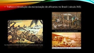 • Tráfico e introdução da escravização de africanos no Brasil ( século XVI):
http://fabiopestanaramos.blogspot.com/2011/06/o-trafico-negreiro-no-seculo-xvii-e.html
https://www.bbc.com/portuguese/brasil-45092235
 