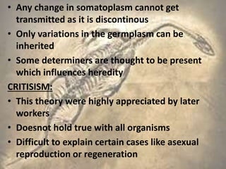 • Any change in somatoplasm cannot get
transmitted as it is discontinous
• Only variations in the germplasm can be
inherited
• Some determiners are thought to be present
which influences heredity
CRITISISM:
• This theory were highly appreciated by later
workers
• Doesnot hold true with all organisms
• Difficult to explain certain cases like asexual
reproduction or regeneration
 