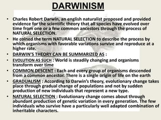 DARWINISM
• Charles Robert Darwin, an english naturalist proposed and provided
evidence for the scientific theory that all species have evolved over
time from one or a few common ancestors through the process of
NATURAL SELECTION.
• He coined the term NATURAL SELECTION to describe the process by
which organisms with favorable variations survive and reproduce at a
higher rate.
• DARWIN’S THEORY CAN BE SUMMARIZED AS :
• EVOLUTION AS SUCH : World is steadily changing and organisms
transform over time
• COMMON DESCENT : Each and every group of organisms descended
from a common ancestor. There is a single origin of life on the earth
• GRADUALISM : According to Darwin’s theory, evolutionary change takes
place through gradual change of populations and not by sudden
production of new individuals that represent a new type.
• NATURAL SELECTION : Evolutionary change comes about through
abundant production of genetic variation in every generation. The few
individuals who survive have a particularly well adapted combination of
inheritable characters.
 