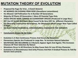 MUTATION THEORY OF EVOLUTION
• Proposed By Hugo De Vries , A Dutch Botanist
• HE WORKED ON EVENING PRIM ROSE (Oenothera Lamarckiana)
• He Allowed Self Pollination For A Number Of Generations
• Majority Of Plants Of Generation 1 Were Of Parental Type Only
• THESE SPECIES WERE TERMED AS ELEMENTARY SPECIES (Produced In Large Nos.)
• 837 Out Of 54,343 Members Were Found To Be Very Diff. for different Characters.
• On Observing Consecutive Generations, He Obtained A Much Longer New Type Called
O.Gigas .
• HE ALSO FOUND NUMERICAL CHROMOSOMAL CHANGES IN THE VARIANTS
• Conclusions Drawn By De Vries :
• Evolution Is A Non Continuous Process And Occurs By Mutations
• Elementary Species Are Produced In Large Nos. To Increase Natural Selection
• MUTATIONS ARE RECURRING (I.E Mutants Appear Again And Again). This Increases
Chances Of Their Selection By Nature
• Mutations Occur In All Directions So May Cause Gain Or Loss Of Any Character.
• Evolution Is A Discontinuous And Jerky Process And Not A Gradual Process As Told By
Darwin And Lamarck.
 