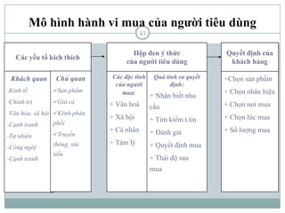 Hành vi mua của người tiêu dùng thay đổi dựa trên những