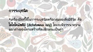 การระบุชนิด
•เครื่องมือที่ใช้ในการระบุชนิดหรือกลุ่มของสิ่งมีชีวิต คือ
ไดโคโตมัสคีย์ (dichotomous key) โดยจะพิจารณาความ
แตกต่างของโครงสร้างทีละลักษณะเป็นคู่ๆ
 