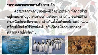 •ความหลากหลายทางชีวภาพ คือ
ความหลากหลายของสิ่งมีชีวิตชนิดต่างๆ ที่ดารงชีวิต
อยู่ในแหล่งที่อยู่อาศัยเดียวกันหรือแตกต่างกัน ซึ่งสิ่งมีชีวิต
ต่างชนิดกันจะมีความแตกต่างกันทั้งในด้านชนิดและจานวน
หรือแม้เป็นสิ่งมีชีวิตชนิดเดียวกันก็อาจมีความแตกต่าง
หลากหลายได้เช่นกัน
 