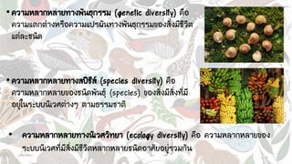• ความหลากหลายทางพันธุกรรม (genetic diversity) คือ
ความแตกต่างหรือความแปรผันทางพันธุกรรมของสิ่งมีชีวิต
แต่ละชนิด
• ความหลากหลายทางสปีชีส์ (species diversity) คือ
ความหลากหลายของชนิดพันธุ์ (species) ของสิ่งมีสิ่งที่มี
อยู่ในระบบนิเวศต่างๆ ตามธรรมชาติ
• ความหลากหลายทางนิเวศวิทยา (ecology diversity) คือ ความหลากหลายของ
ระบบนิเวศที่มีสิ่งมีชีวิตหลากหลายชนิดอาศัยอยู่รวมกัน
 
