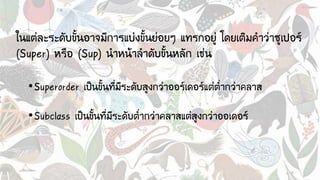 ในแต่ละระดับขั้นอาจมีการแบ่งขั้นย่อยๆ แทรกอยู่ โดยเติมคาว่าซูเปอร์
(Super) หรือ (Sup) นาหน้าลาดับขั้นหลัก เช่น
•Superorder เป็นขั้นที่มีระดับสูงกว่าออร์เดอร์แต่ต่ากว่าคลาส
•Subclass เป็นขั้นที่มีระดับต่ากว่าคลาสแต่สูงกว่าออเดอร์
 