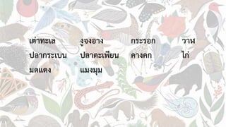 เต่าทะเล งูจงอาง กระรอก วาฬ
ปลากระเบน ปลาตะเพียน คางคก ไก่
มดแดง แมงมุม
 