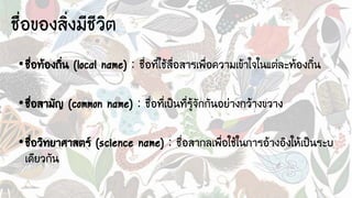 ชื่อของสิ่งมีชีวิต
•ชื่อท้องถิ่น (local name) : ชื่อที่ใช้สื่อสารเพื่อความเข้าใจในแต่ละท้องถิ่น
•ชื่อสามัญ (common name) : ชื่อที่เป็นที่รู้จักกันอย่างกว้างขวาง
•ชื่อวิทยาศาสตร์ (science name) : ชื่อสากลเพื่อใช้ในการอ้างอิงให้เป็นระบ
เดียวกัน
 