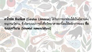 คาโรลัส ลินเนียส (Carolus Linnaeus) ได้รับการยกย่องให้เป็นบิดาแห่ง
อนุกรมวิธาน ซึ่งจัดระบบการตั้งชื่อวิทยาศาสตร์โดยใช้หลักการของ ชื่อ
ระบบทวินาม (binomial nomenclature)
 