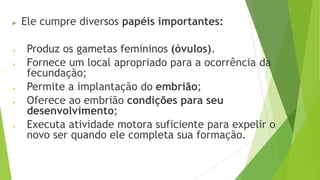  Ele cumpre diversos papéis importantes:
 Produz os gametas femininos (óvulos).
 Fornece um local apropriado para a ocorrência da
fecundação;
 Permite a implantação do embrião;
 Oferece ao embrião condições para seu
desenvolvimento;
 Executa atividade motora suficiente para expelir o
novo ser quando ele completa sua formação.
 