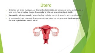 Útero
● O útero é um órgão muscular oco de grande elasticidade, do tamanho e forma semelhante a
uma pera. Sua principal função é acomodar o feto até o nascimento do bebê.
● Na gravidez ele se expande, acomodando o embrião que se desenvolve até o nascimento.
● A mucosa uterina é chamada de endométrio, que passa por um processo de descamação
durante o período da menstruação.
 
