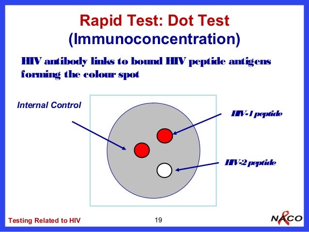 elisa assay lab report An elisa test (nzyme-linked immunosorbent assay) is a method of measuring the amount of substances in body fluids, such as hormones or proteins in blood. elisa assay lab report An elisa test (nzyme-linked immunosorbent assay) is a method of measuring the amount of substances in body fluids, such as hormones or proteins in blood.