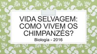 VIDA SELVAGEM:
COMO VIVEM OS
CHIMPANZÉS?
Biologia - 2016
 