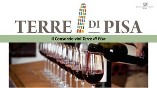 Il Consorzio vini Terre di Pisa
 