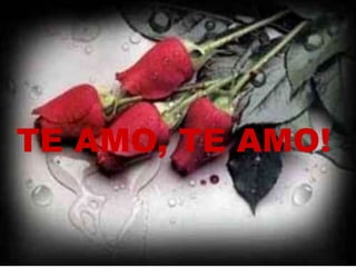 TE AMO, TE AMO!

 