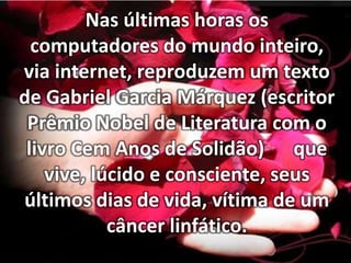 Nas últimas horas os
computadores do mundo inteiro,
via internet, reproduzem um texto
de Gabriel Garcia Márquez (escritor
Prêmio Nobel de Literatura com o
livro Cem Anos de Solidão) que
vive, lúcido e consciente, seus
últimos dias de vida, vítima de um
câncer linfático.

 