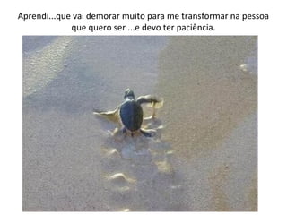 Aprendi...que vai demorar muito para me transformar na pessoa
que quero ser ...e devo ter paciência.
 