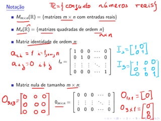 Notação
Mm×n(R) = {matrizes m × n com entradas reais}
Mn(R) = {matrizes quadradas de ordem n}
Matriz identidade de ordem n:
In =





1 0 0 · · · 0
0 1 0 · · · 0
.
.
.
.
.
.
.
.
.
...
.
.
.
0 0 0 · · · 1





Matriz nula de tamanho m × n:
0m×n =



0 0 0 · · · 0
.
.
.
.
.
.
.
.
.
...
.
.
.
0 0 0 · · · 0



 