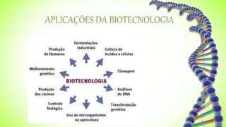 APLICAÇÕES DA BIOTECNOLOGIA
 