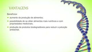 VANTAGENS
Benefícios:
 aumento da produção de alimentos;
 possibilidade de se obter alimentos mais nutritivos e com
propriedades medicinais;
 produção de produtos biodegradáveis para reduzir a poluição
ambiental;
 