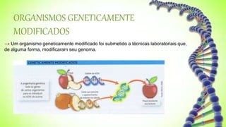 ORGANISMOS GENETICAMENTE
MODIFICADOS
→ Um organismo geneticamente modificado foi submetido a técnicas laboratoriais que,
de alguma forma, modificaram seu genoma.
 