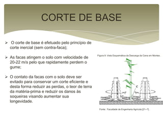 CORTE DE BASE
 O corte de base é efetuado pelo princípio de
corte inercial (sem contra-faca);
 As facas atingem o solo com velocidade de
20-22 m/s pelo que rapidamente perdem o
gume;
 O contato da facas com o solo deve ser
evitado para conservar um corte eficiente e
desta forma reduzir as perdas, o teor de terra
da matéria-prima e reduzir os danos às
soqueiras visando aumentar sua
longevidade.
Figura 9: Vista Esquemática da Descarga da Cana em Montes .
Fonte: Faculdade de Engenharia Agrícola [21--?] .
 