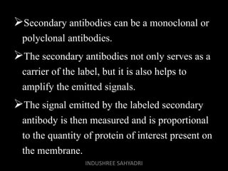 Secondary antibodies can be a monoclonal or
polyclonal antibodies.
The secondary antibodies not only serves as a
carrier of the label, but it is also helps to
amplify the emitted signals.
The signal emitted by the labeled secondary
antibody is then measured and is proportional
to the quantity of protein of interest present on
the membrane.
INDUSHREE SAHYADRI
 