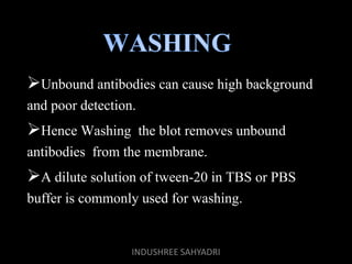 Unbound antibodies can cause high background
and poor detection.
Hence Washing the blot removes unbound
antibodies from the membrane.
A dilute solution of tween-20 in TBS or PBS
buffer is commonly used for washing.
INDUSHREE SAHYADRI
 