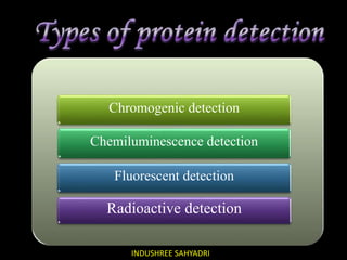 Chromogenic detection
Chemiluminescence detection
Fluorescent detection
Radioactive detection
INDUSHREE SAHYADRI
 