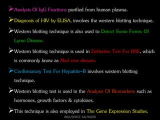 Analysis Of IgG Fractions purified from human plasma.
Diagnosis of HIV by ELISA, involves the western blotting technique.
Western blotting technique is also used to Detect Some Forms Of
Lyme Disease.
Western blotting technique is used in Definitive Test For BSE, which
is commonly know as Mad cow disease.
Confirmatory Test For Hepatitis-B involves western blotting
technique.
Western blotting test is used in the Analysis Of Biomarkers such as
hormones, growth factors & cytokines.
This technique is also employed in The Gene Expression Studies.
INDUSHREE SAHYADRI
 