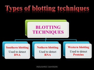 BLOTTING
TECHNIQUES
Southern blotting
Used to detect
DNA
Nothern blotting
Used to detect
RNA
Western blotting
Used to detect
Proteins
INDUSHREE SAHYADRI
 