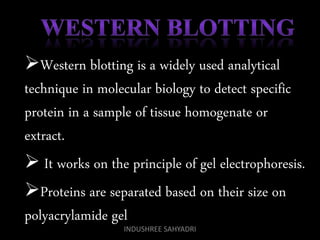 Western blotting is a widely used analytical
technique in molecular biology to detect specific
protein in a sample of tissue homogenate or
extract.
 It works on the principle of gel electrophoresis.
Proteins are separated based on their size on
polyacrylamide gel
INDUSHREE SAHYADRI
 